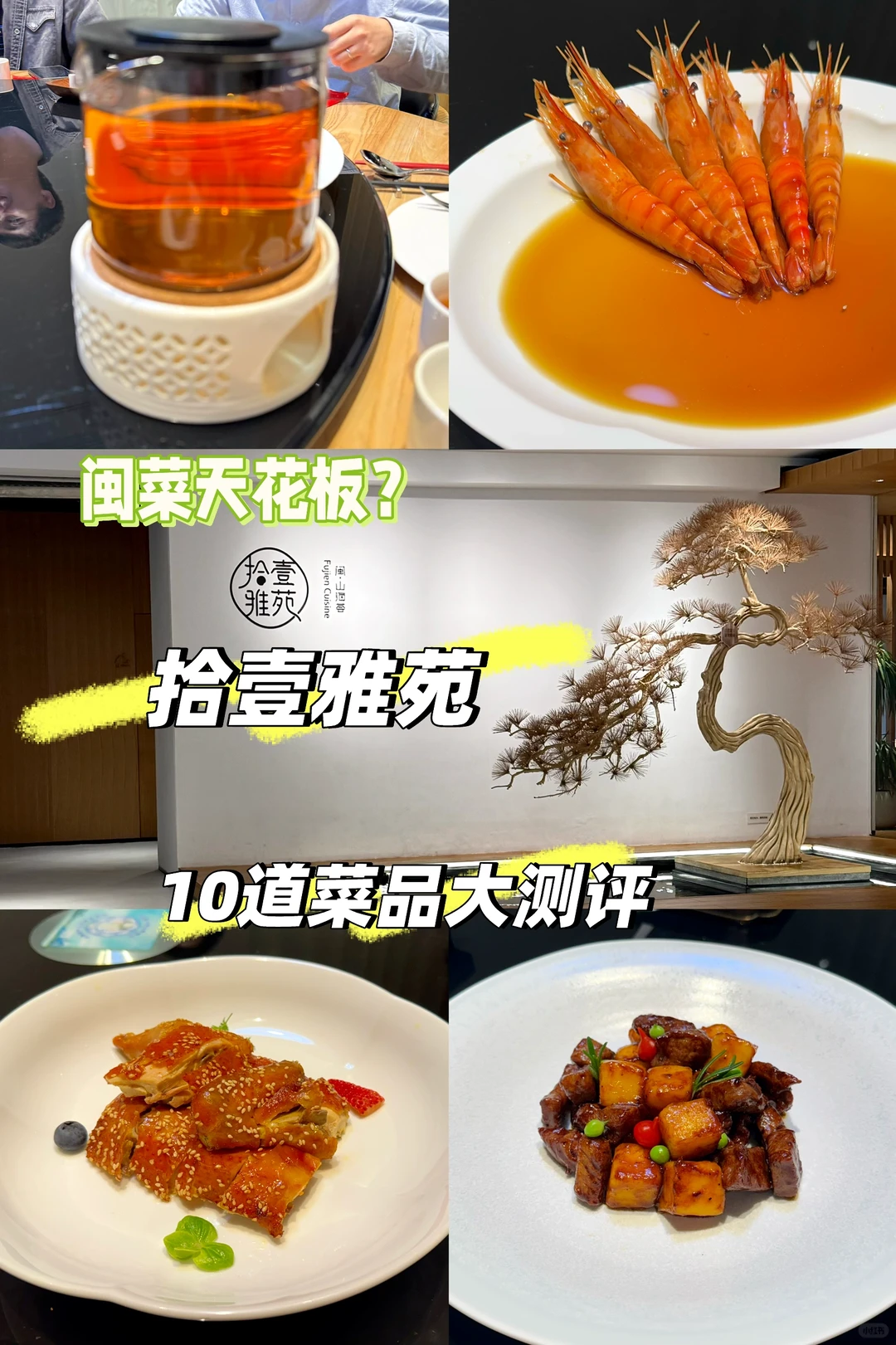 拾壹雅苑 小红书商家图1